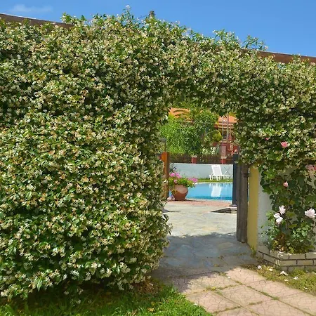 Alex Katerina Aparthotel 3*